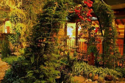 Bed & Breakfast La Casita Del Patio Mexico-stad