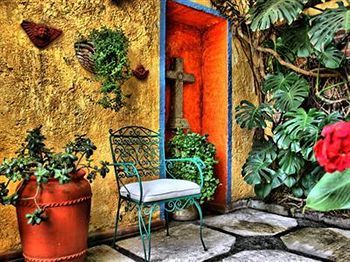 Bed & Breakfast La Casita Del Patio Mexico-stad